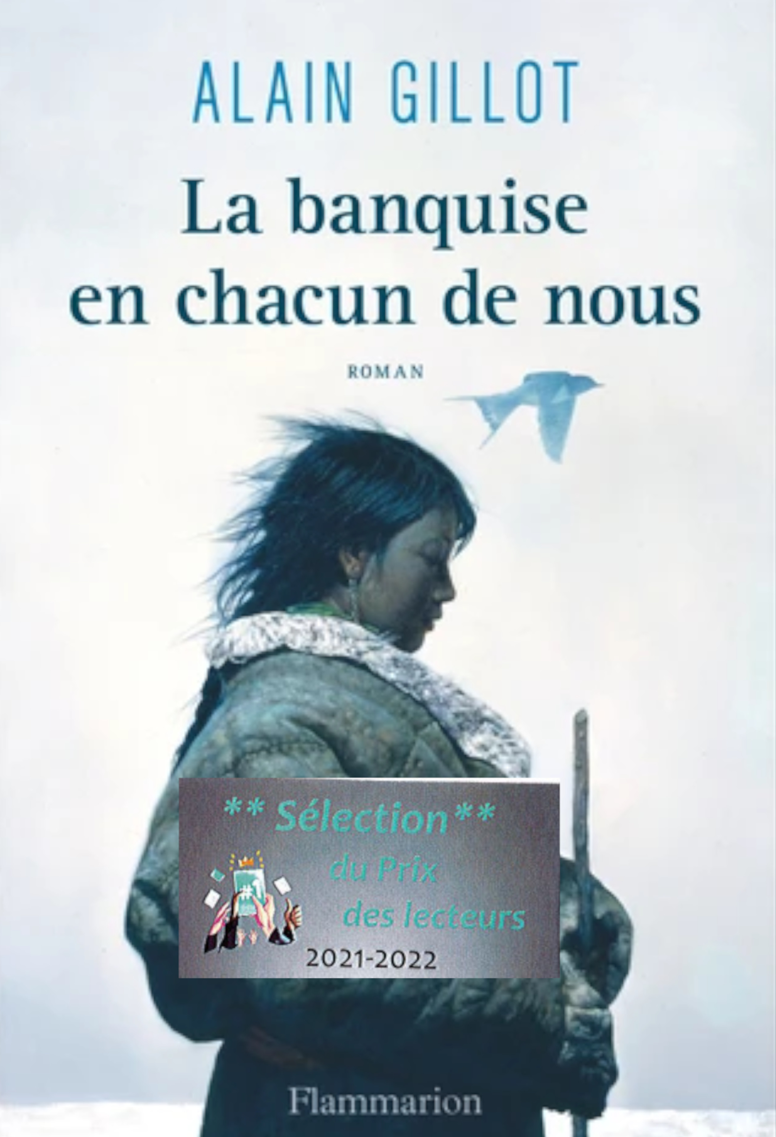 banquise1.jpg